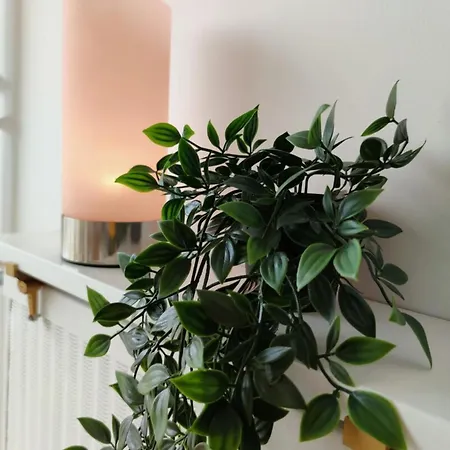 Le Ravissant Merveilleux F3 Avec Vue A * Rouen